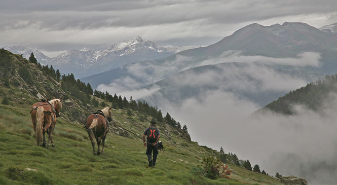 Activitats - Llop Gris Mountain Hotel